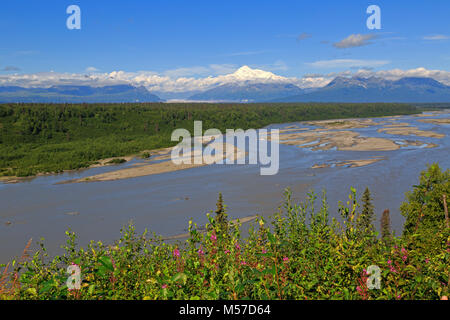 Die Denali Nationalpark in Alaska Stockfoto