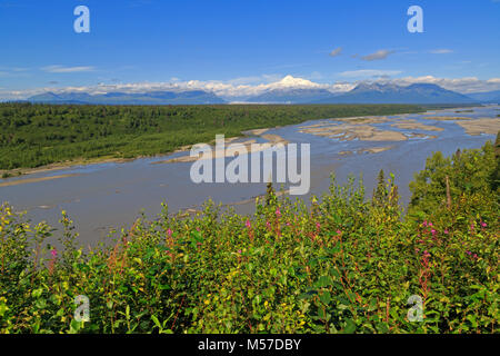 Panorama im Denali Nationalpark in Alaska Stockfoto