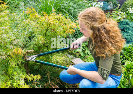 Junge holländische Frau Beschneidung Pflanze im Garten Stockfoto