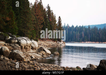 See und Wald Stockfoto