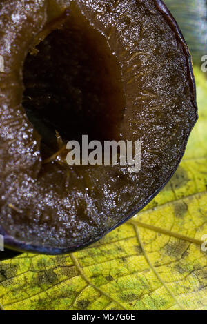 Makro, Schneiden, blau, Merkblatt, Blendung, Wasser, Härte, Detail, Design, Textur, Lila, Obst, drop, organischen, natürlichen, Nahrung, Farbe, Pflanzen, frische Stockfoto