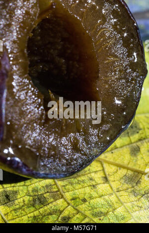 Makro, Schneiden, blau, Merkblatt, Blendung, Wasser, Härte, Detail, Design, Textur, Lila, Obst, drop, organischen, natürlichen, Nahrung, Farbe, Pflanzen, frische Stockfoto