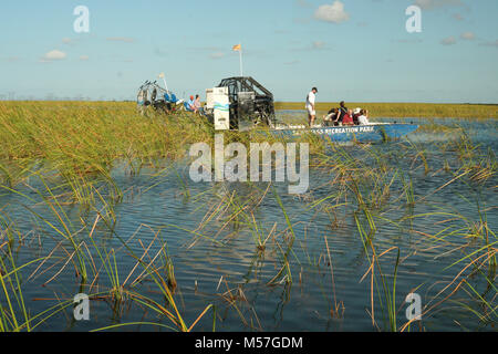 Seegras in Everglades Park, Fort Lauderdale, FL Stockfoto