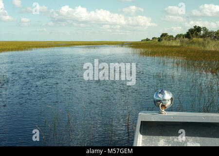 Seegras in Everglades Park, Fort Lauderdale, FL Stockfoto