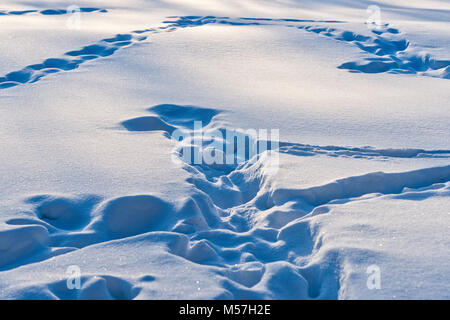 Menschliche Spuren in den tiefen Schnee im Licht der frühen Winter Abend. Spiel von Licht und Schatten Stockfoto