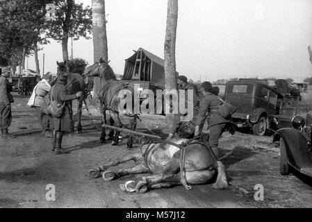 Chaos auf der Straße wie auf der Flucht Flüchtlinge werden aus dem Weg geräumt, damit die einmarschierenden deutschen Truppen in der Nähe von Macon in Frankreich im Juni 1940 während der Schlacht von Frankreich. Pic zwischen 17/6/1940 - 29/6/1940 Stockfoto