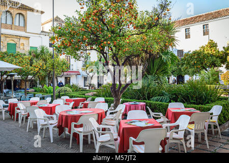 MARBELLA, SPANIEN - Dezember 2017: Street Cafe unter Citrus Baum im Zentrum der Altstadt Stockfoto