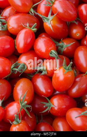 Frisch und reif Roma Tomaten Stockfoto