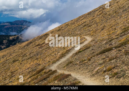 Grand Pass Trail in der Nähe von Obstruction Point ausgesetzt ist, und offen, während einer Rucksacktour in Grand Valley in Olympic National Park, Washin fotografiert. Stockfoto