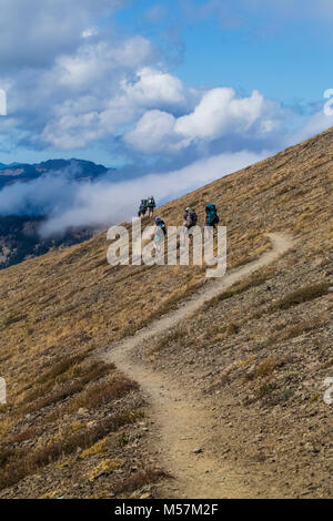 Wanderer auf Grand Pass Trail in der Nähe von Obstruction Point ausgesetzt ist, und offen, während einer Rucksacktour in Grand Valley in Olympic National Pa fotografiert. Stockfoto