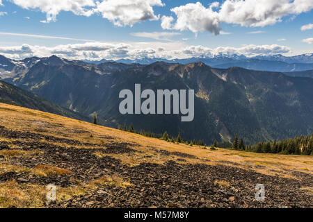 Alpine Tundra am Berghang in der Nähe von Hindernissen im Olympic National Park, Washington State, USA Stockfoto