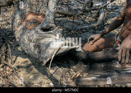 San Stammesangehörigen Jagd in den umliegenden Buschland für Eidechsen. Stockfoto