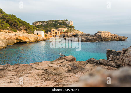 Eine Möwe thront auf einem Felsen vor dem Hintergrund der Mittelmeer in la Calo des Moro auf der Insel Mallorca, Spanien. Stockfoto