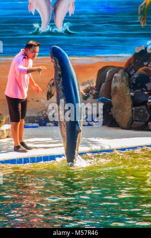 Chanthaburi, Thailand - 5. Mai 2015: Trainer ist Lehre dolphin zu springen zeigt in den Pool im Oasis Sea World, Thai fantastische Delphinarium Stockfoto