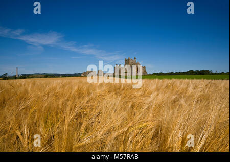 13. Jahrhundert Dunbrody Abbey, ein Zisterzienserkloster auf dem Haken Halbinsel in County Wexford, Irland über ein Feld von Gerste gesehen. Stockfoto