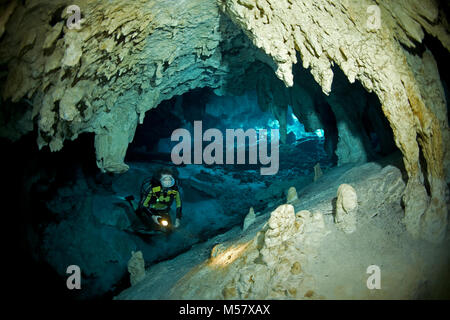 Cave Diver in der Cenote Grand Cenote, Cenoten, Tulum, Yucatan, Quintana Roo, Mexiko, der Karibik Stockfoto