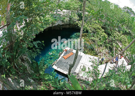 Schnorchler Schwimmen in kristallklarem Wasser von Grand Cenote, Cenoten, Tulum, Akumal, Yucatan, Quintana Roo, Mexiko, der Karibik Stockfoto