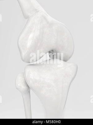 Knie ohne moderne Knieprothese - 3D-Rendering Stockfoto