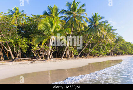 Die karibischen Strand, Martinique Insel. Stockfoto