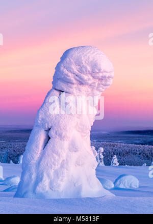 Verschneite Bäume im finnischen Lappland Stockfoto