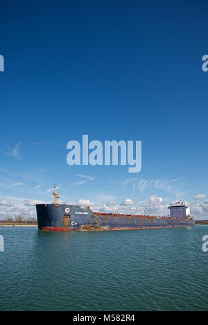 Die Algoma Geist bulk carrier, der durch die Welland Canal Stockfoto