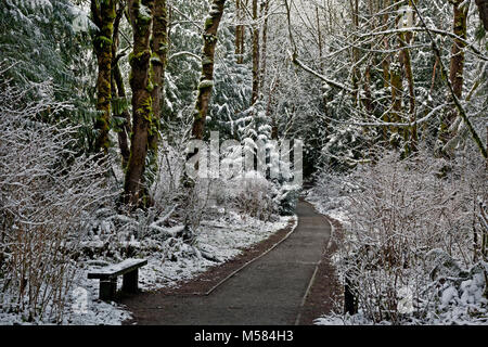 WA 13507-00 ... WASHINGTON - Winter auf der Tradition Hochebene in die issaquah Alps. Stockfoto