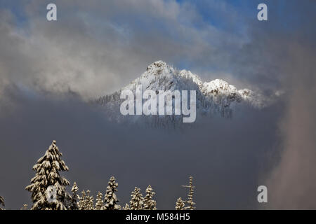 WA 13510-00 ... WASHINGTON - Wolken um Denny Berg an einem verschneiten Tag in Snoqualmie Pass zu brechen. Stockfoto