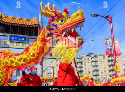 VanCity Credit Union Dragon Dance Team, chinesische Mondjahr Parade, Chinatown, Vancouver, British Columbia, Kanada. Stockfoto