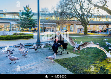 Mann Fütterung Vögel, Möwen, Möwen Stockfoto