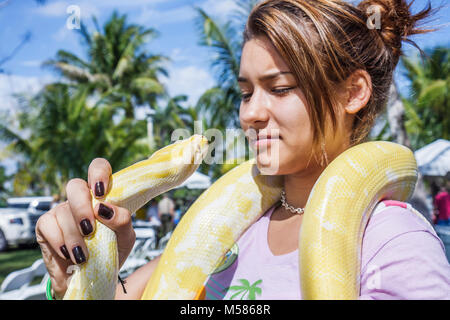 Miami Florida, Metrozoo, Amnesty Day für nicht-einheimische Haustiere, unerwünschte exotische Tiere, Fisch- und Wildtierschutzkommission, birmanische Python, lateinisches lateinamerikanisches Latein Stockfoto