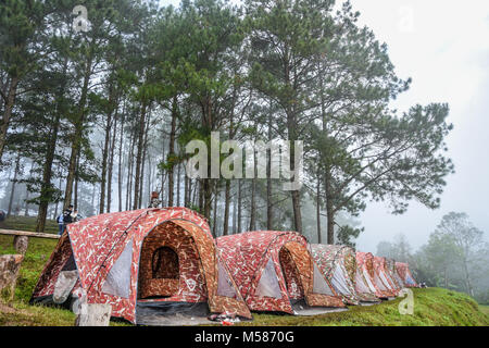 Chiang Mai, THAILAND - 25. Oktober 2015: Menschen mit Camping Zelten während der langen Urlaub im Nationalpark Doi Angkhang in Chiangmai, Thailand Stockfoto