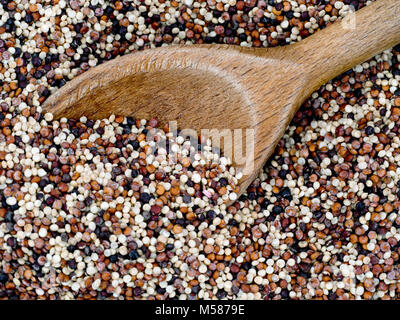 Rainbow Quinoa - die roten, weißen und schwarzen Samen. Gesunde option. Stockfoto