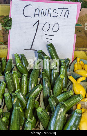 Miami Florida, Homestead, Highway Route 1, One, Farmers Market, Farmers's, Farmers', Zucchini, Canasta, Gemüse, Gemüse, spanische Sprache, zweisprachiges Schild, pri Stockfoto