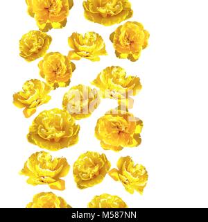 Nahtlose Muster mit flauschigen gelbe Tulpen. Schöne Blumen und Blüten sowie deren Knospen, realistisch Stock Vektor