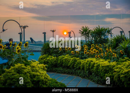 Singapur, Singapur - Januar 30, 2018: unbekannter Mann besucht die Sonnenblume Garten innerhalb des Singapur Changi Airport, bei Sonnenuntergang Stockfoto