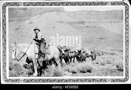 Eine Grand Canyon historischen Kaibab Trail Maultier Packer. PACKER, ein MAULTIER- zug auf der South Kaibab Trail AUF DEN TONTO PLATEAU FÜHRT. Möglicherweise Durchführung von Sprengarbeiten Pulver für CCC-BAUVORHABEN. . Datum 1936. Stockfoto