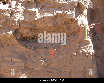 Grand Archäologie IMG. Grand Canyon National Park: Zahlreiche Becken geformt Feuerstellen wie diese Waren bei Axhandle Alkoven ausgegraben. Diese Foyers sind von archaischen Völker zwischen 2500 und 5500 Jahren verwendet. Stockfoto