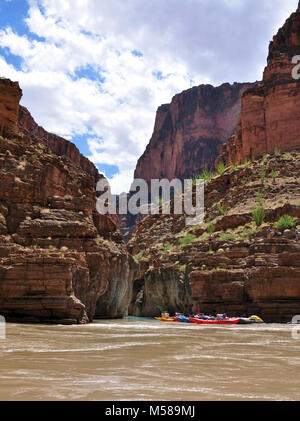 Grand Canyon Mund der Havasu Creek. Der Zusammenfluss der Havasu Creek mit dem Colorado River (Fluss 1,6 Km 157) ist ein beliebter Ort für Bootsfahrer zu stoppen und die markanten blau-grüne Wasser des Havasu Creek bewundern. Die türkise Farbe ist von Wasser mit hohem Mineralgehalt verursacht. An dem Punkt, an dem die Blue Creek die trübe Colorado River Es erfüllt erscheint oft einen definitiven Bruch. NPS Stockfoto