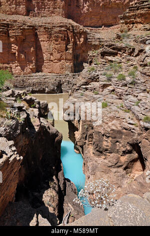 Grand Canyon Mund der Havasu Creek. Der Zusammenfluss der Havasu Creek mit dem Colorado River (Fluss 1,6 Km 157) ist ein beliebter Ort für Bootsfahrer zu stoppen und die markanten blau-grüne Wasser des Havasu Creek bewundern. Die türkise Farbe ist von Wasser mit hohem Mineralgehalt verursacht. An dem Punkt, an dem die Blue Creek die trübe Colorado River Es erfüllt erscheint oft einen definitiven Bruch. NPS Stockfoto