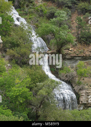 Grand Canyon Nat Park N Kaibab Trail Roaring Springs. Wo die absteigende North Kaibab Trail erfüllt die flacher Unterseite des Bright Angel Canyon, 5 Meilen / 8 km von der North Kaibab Trailhead, Roaring Springs können gesehen werden. Hier Wasser sprudelt her direkt aus dem Felsen, über Moos und Farn zu bilden Bright Angel Creek (die ein ständiger Begleiter bis zum Colorado River). Diese riesige Feder wird Trinkwasser für jeden Besucher und Bewohner innerhalb der Grand Canyon National Park. Wird das Wasser zu den South Rim über eine Pipeline unter dem North Kaibab T begraben geliefert Stockfoto