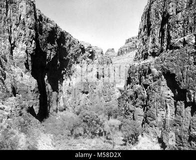 Grca Havasu Canyon Wände. HAVASU CANYON UNTEN MOONEY FÄLLT. Steile Felswände und Vegetation. Handschriftlich AUF DER RÜCKSEITE MIT BLEISTIFT IST 15-HAVASU CANYON, UNTEN MOONEY FÄLLT-SEPT. 1899 H.G. PEABODY ohne Rand um das Bild herum. Siehe GRCA 14718-14742 FÜR WEITERE FOTOS VON BASS UND SUPAI GENOMMEN PEABODY 1899... Historisches Foto aus, Stockfoto