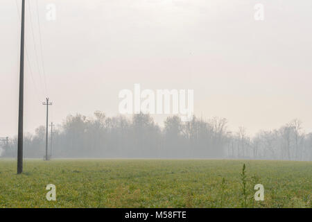 Herbstliche Landschaften der Macchia in einem Lombardia Naturpark Stockfoto