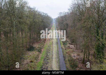 Der Wald von Arenberg mit Pflastersteinen Stockfoto