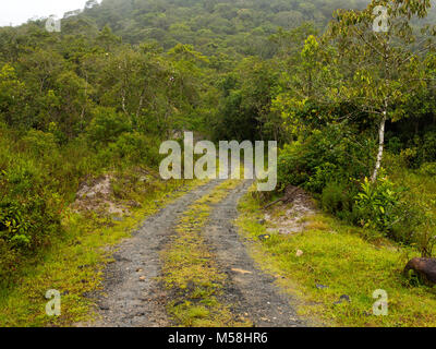 Schmutzige Spur Serra da bocaina, São Paulo, Brasilien Stockfoto