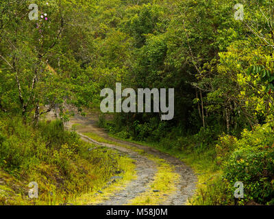 Schmutzige Spur Serra da bocaina, São Paulo, Brasilien Stockfoto