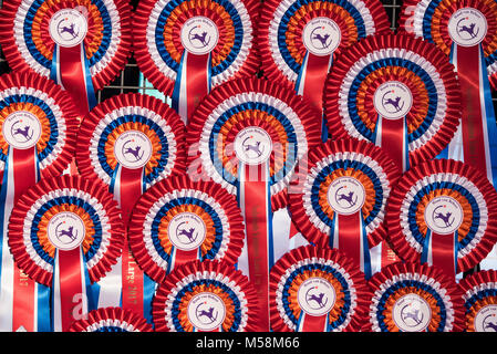 Die Niederlande. Volkel. 18-06-2017. Niederländische fanden die Agility (behendigheid) Stockfoto