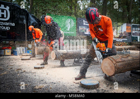 Anmeldung Niederländisch Chapionships Stockfoto