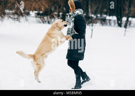 Bild der Frau mit retriever Walking im Winter Park Stockfoto