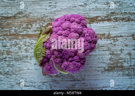 Lila Farbe Blumenkohl Gemüse auf einem grauen Tabelle Stockfoto