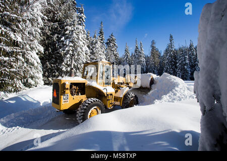 02/19/2018 Snow event. Ein Caterpillar 950 mit Gummibereifung artikuliert Lader Schneeräumen auf einem Berg Straße nördlich des Noxon, in Sanders County Montana. Stockfoto